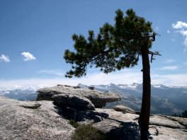 Sierra Nevada crest looking north from Sentinel Dome