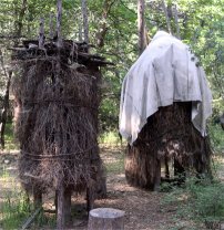 Acorn granary
