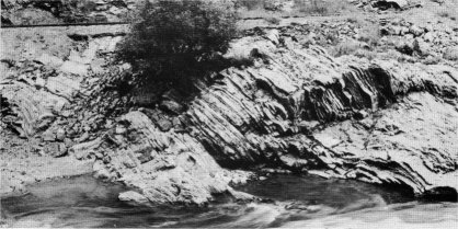 Oldest rocks of the Yosemite region, Merced River canyon. Laid down as ancient sediments and later folded, they once covered all of the now-exposed Sierran granite.