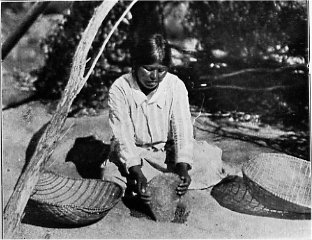 Miwok woman pounding acorns in bedrock mortar hole