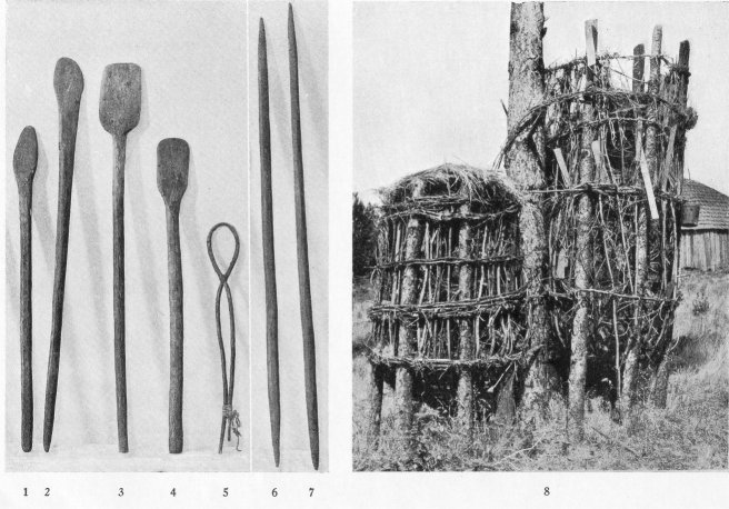1-4. Wooden paddles. 5. Looped stirring stick. 6, 7. Wooden fire tongs. 8. Two large acorn granaries.