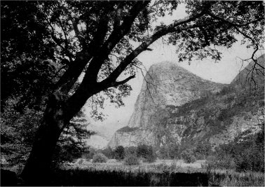 Hetch Hetchy Valley before Inundation. By J. N. LeConte