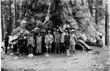 Theodore Roosevelt and party, 1903. John Muir is to right of Mr. Roosevelt. Photo by Joseph Le Conte.