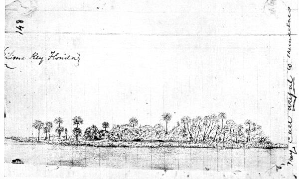 [Lime Key, Florida. From Mr. Muir’s sketch in the original journal]