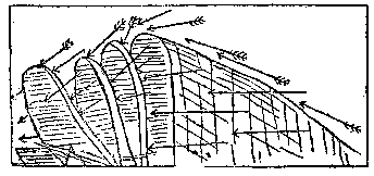 [Fig. 8]