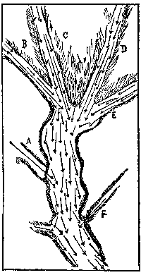 [Fig. 3.—Merced Yosemite glaciers]