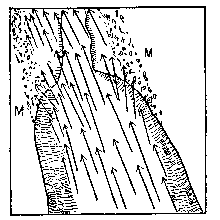 [Fig. 1]