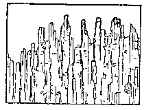 [Fig. 2]