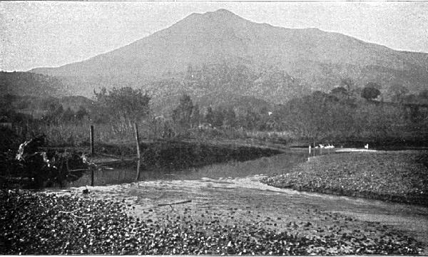 [MOUNT TAMALPAIS—NORTH OF THE GOLDEN GATE]