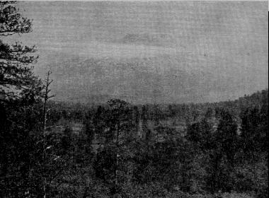 [MOUNT SHASTA,
LOOKING SOUTHWEST]