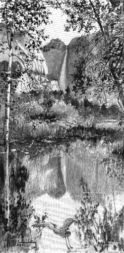 [Mirror view of Yosemite Falls.]