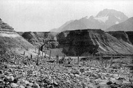 Ruins of Buried Forest, East Side of Muir Glacier