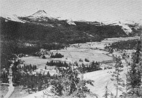 Tuolumne Meadows and Cathedral Peak