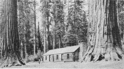 Mariposa Grove Museum and Giant Sequoias