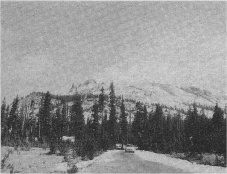 Mt. Hoffmann from Snow Flat