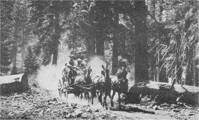 Early Touring in Yosemite Valley