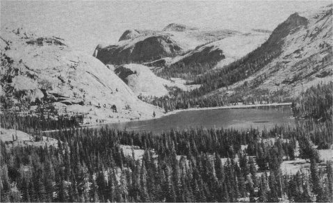 Tenaya Lake