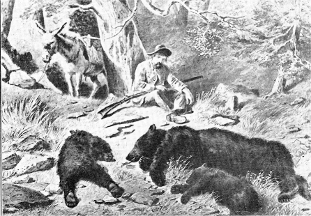 Indiscriminate Hunting Exterminated the Grizzly in California