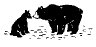 Bear and cub icon