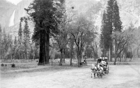 Approaching the Stoneman House, Yosemite Valley, 1895. Yosemite Falls at left.