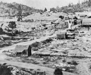Big Oak Flat after the fire of 1863. Trunk of Big Oak stands at right.