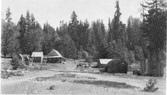 Crane Flat, 1901. Building with porch, Goblin’s Hotel; Billy Hurst’s Saloon in front of team.