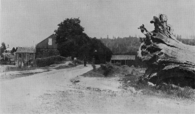Big Oak Flat Road in Big Oak Flat, Tuolumne County, California