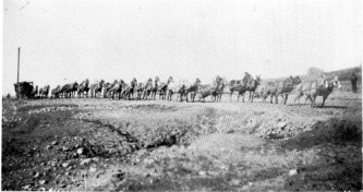 26 Mule Team and Wagon, Tuolumne County.