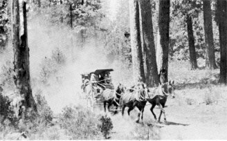 Stage on Big Oak Flat Road near crest of Hardin Hill, 1888. Ed McGowan, driver.