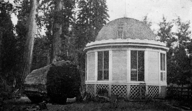 Dancing Pavilion on stump of Big Tree