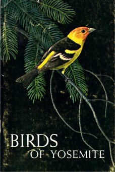 Cover: Male Western Tanager by Robert C. Stebbins