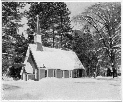 Yosemite Chapel in Old Village. Location of numerous introduced trees.