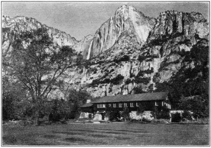 Yosemite Museum has special tree room exhibit.