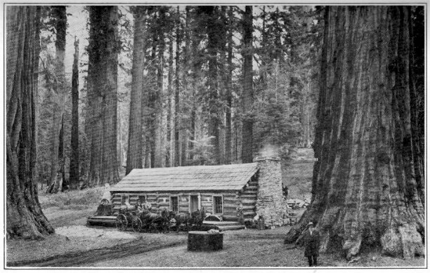 Galen Clark, in the Mariposa Grove of Big Trees, which he discovered