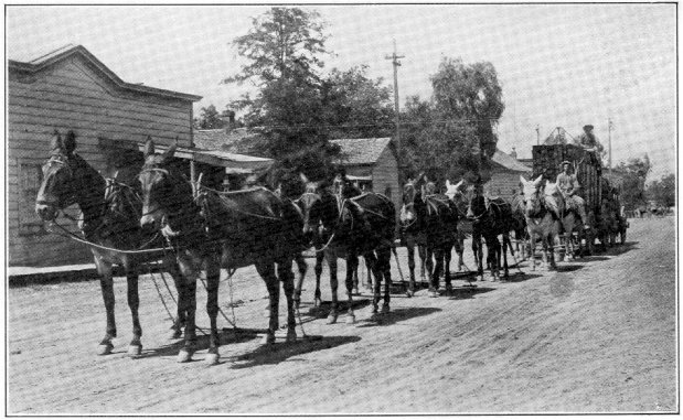 Joe R. Souza, and the first twelve-animal team to enter Yosemite