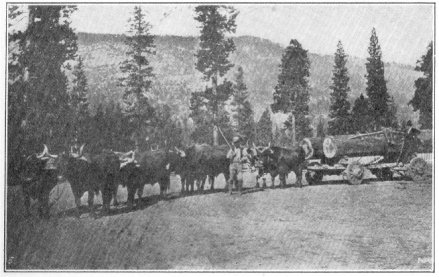 'Rock' Greeley, with his logging team