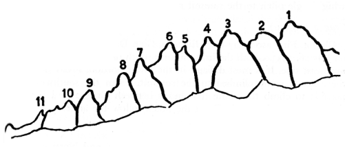 Sketch 16. The Devil’s Crags from Rambaud Peak.