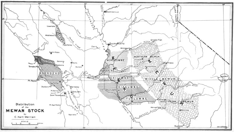 Distribution of the Mewan Stock