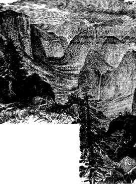 VIEW OF THE YOSEMITE