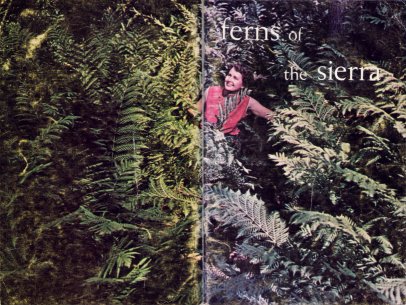 Cover, Ferns of the Sierra by Robert J. Rodin: Giant Chain Fern, Woodwardia fimbriata, taller than the author’s wife, Elva Rodin