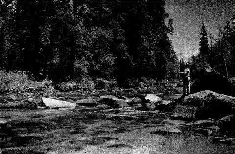 'Pretty Waters' on the Merced River