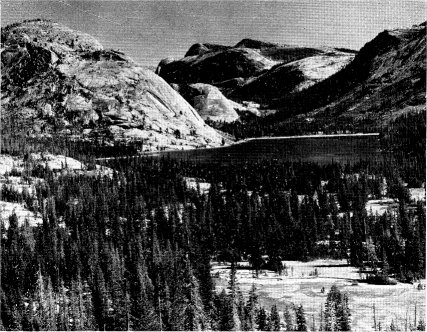 Tenaya Lake