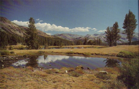 high meadow in autumn