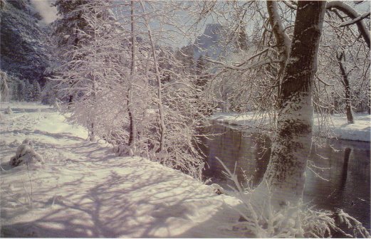 Merced River bank in winter