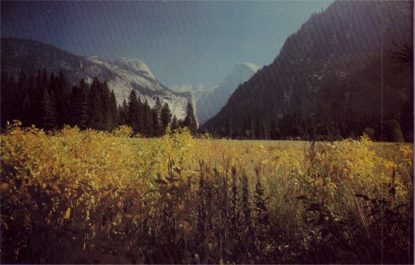 Yosemite valley in autumn
