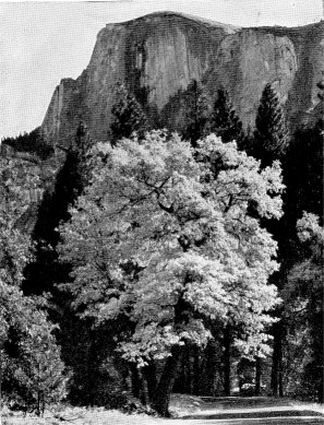 Autumn by Ansel Adams
