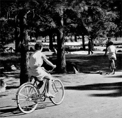 Bicycle riding in Yosemite Valley by Ansel Adams