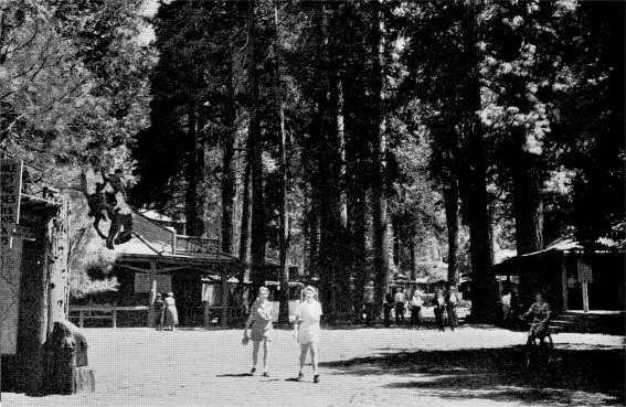 Camp Curry by Ansel Adams