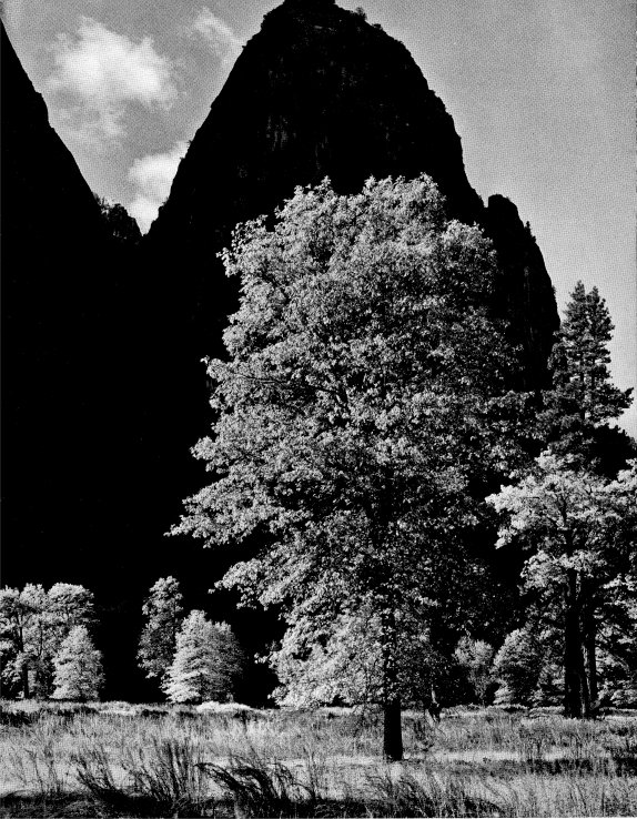 Cathedral Rock by Ansel Adams