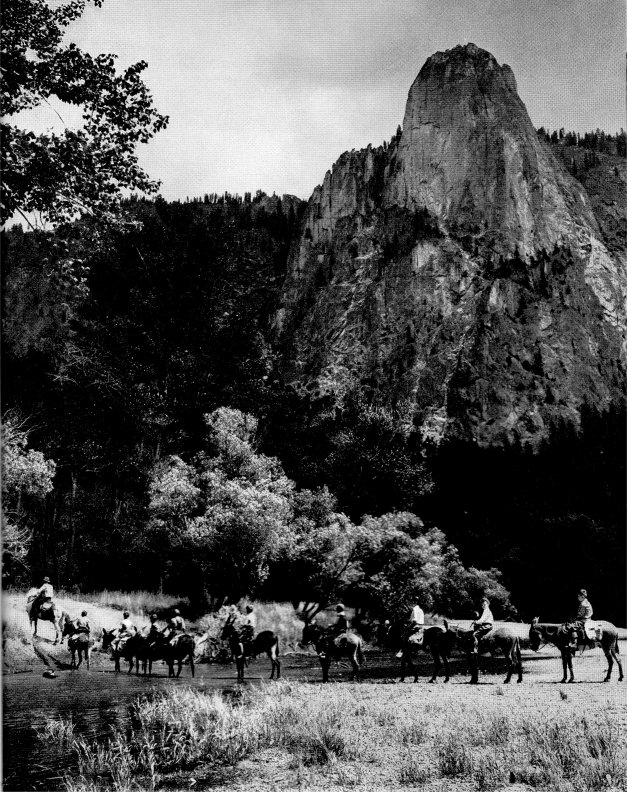 
by Ansel Adams